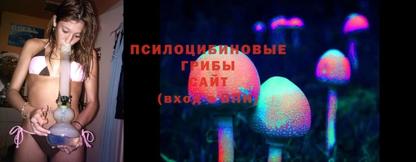 мдпв Новозыбков