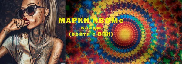 мдпв Новозыбков